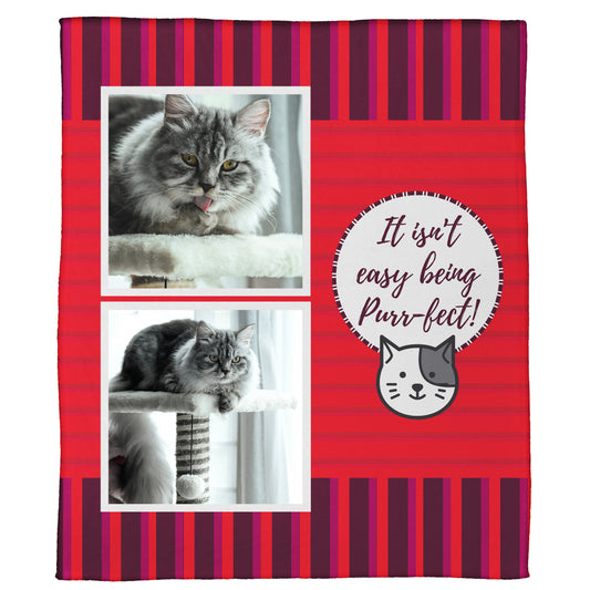 It's Not Easy Being Purr-fect: A Pet Plush Throw In Pink (50” x 60”)