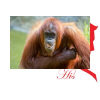  Personalized HIS & HER Heart Pillowcase Set Thumbnail