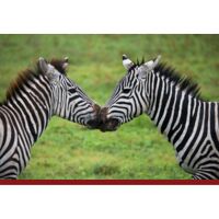NEW!!! Personalized Custom Photo Collage Floor Kitchen Mat 27" x 18" Thumbnail
