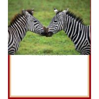 Personalized Collage Photo Medium Soft Fleece Throw Blanket - 50" x 60" Thumbnail