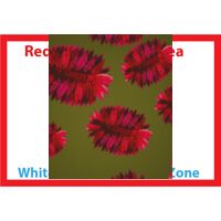 Personalized Photo Collage Standard Pillow Case - Single Sided 30" x 20" Thumbnail